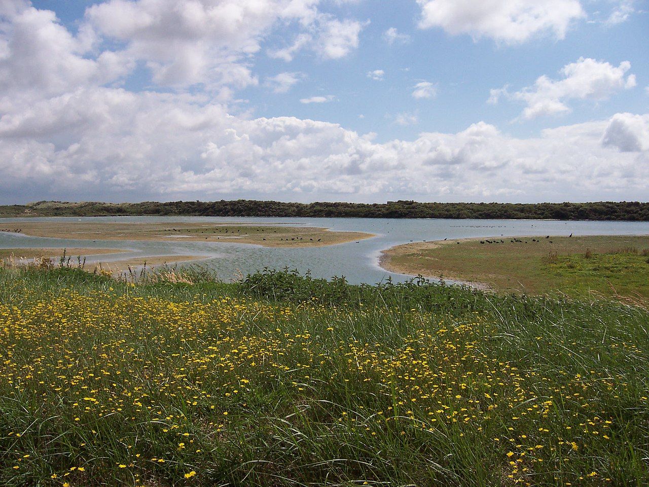 Parc du Marquenterre