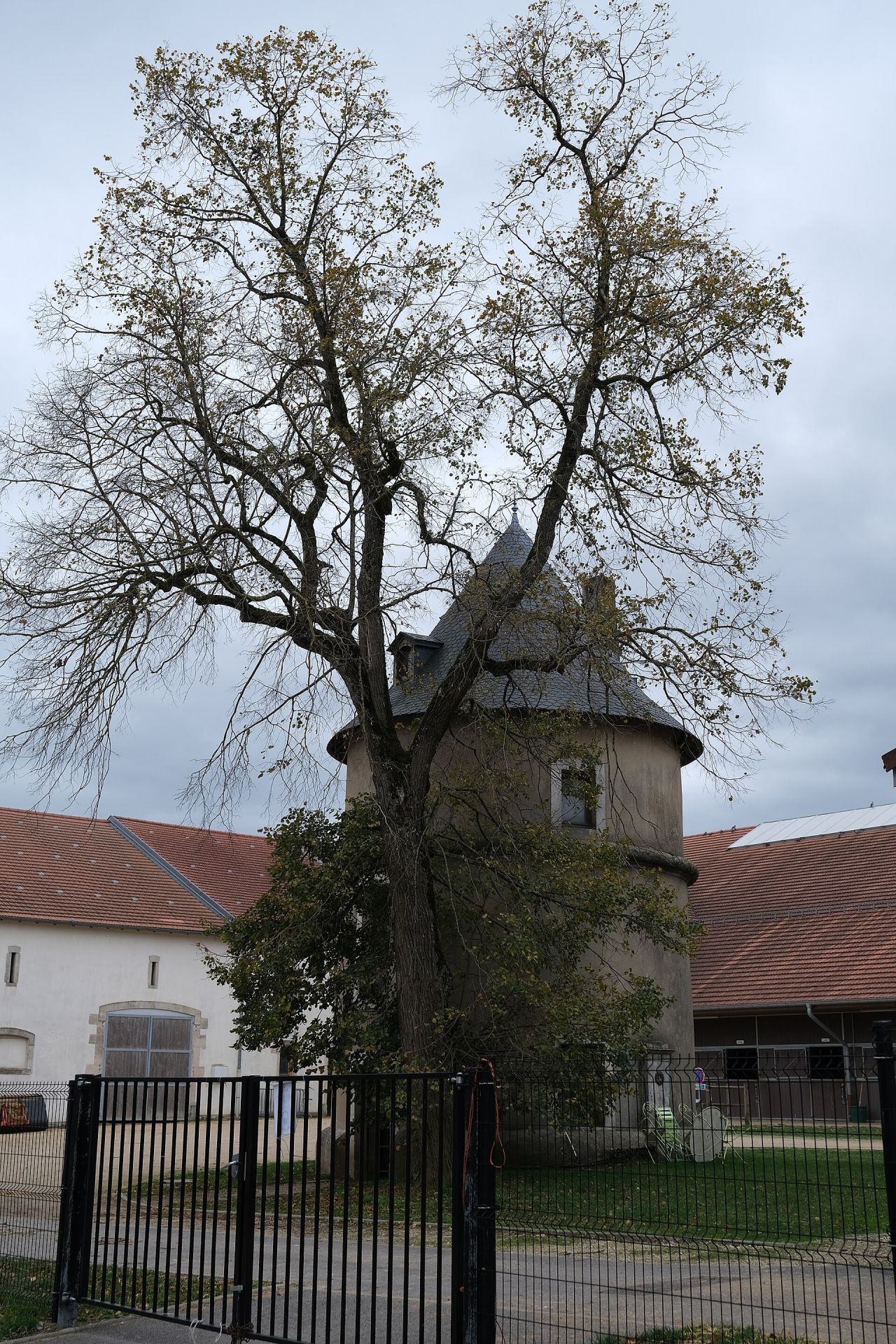 Parc du Château de Brabois