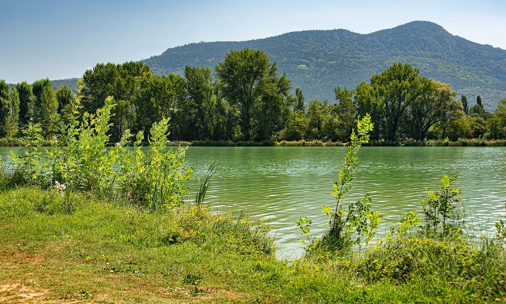 Lac de Puivert
