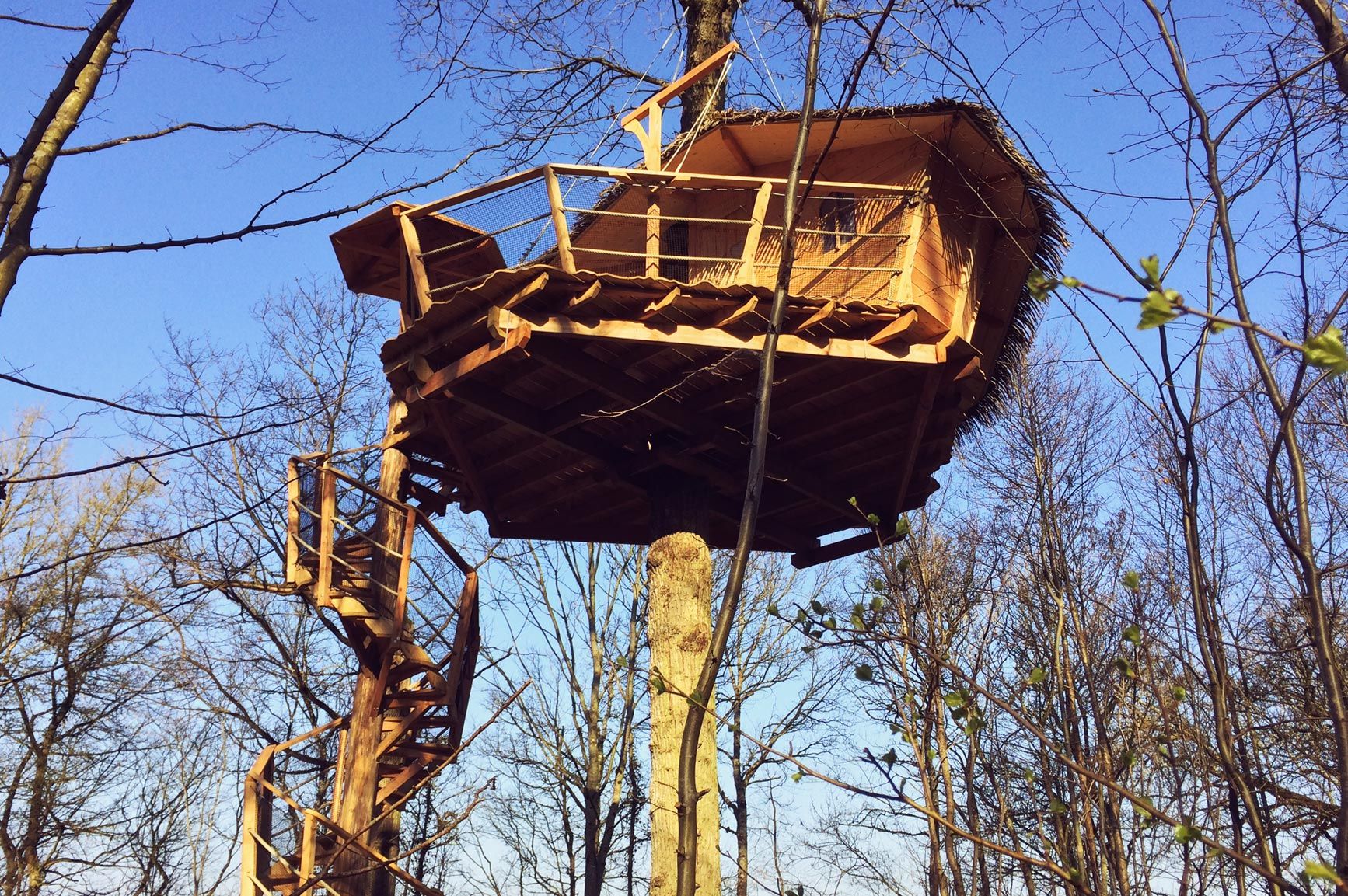 Cabane Romance