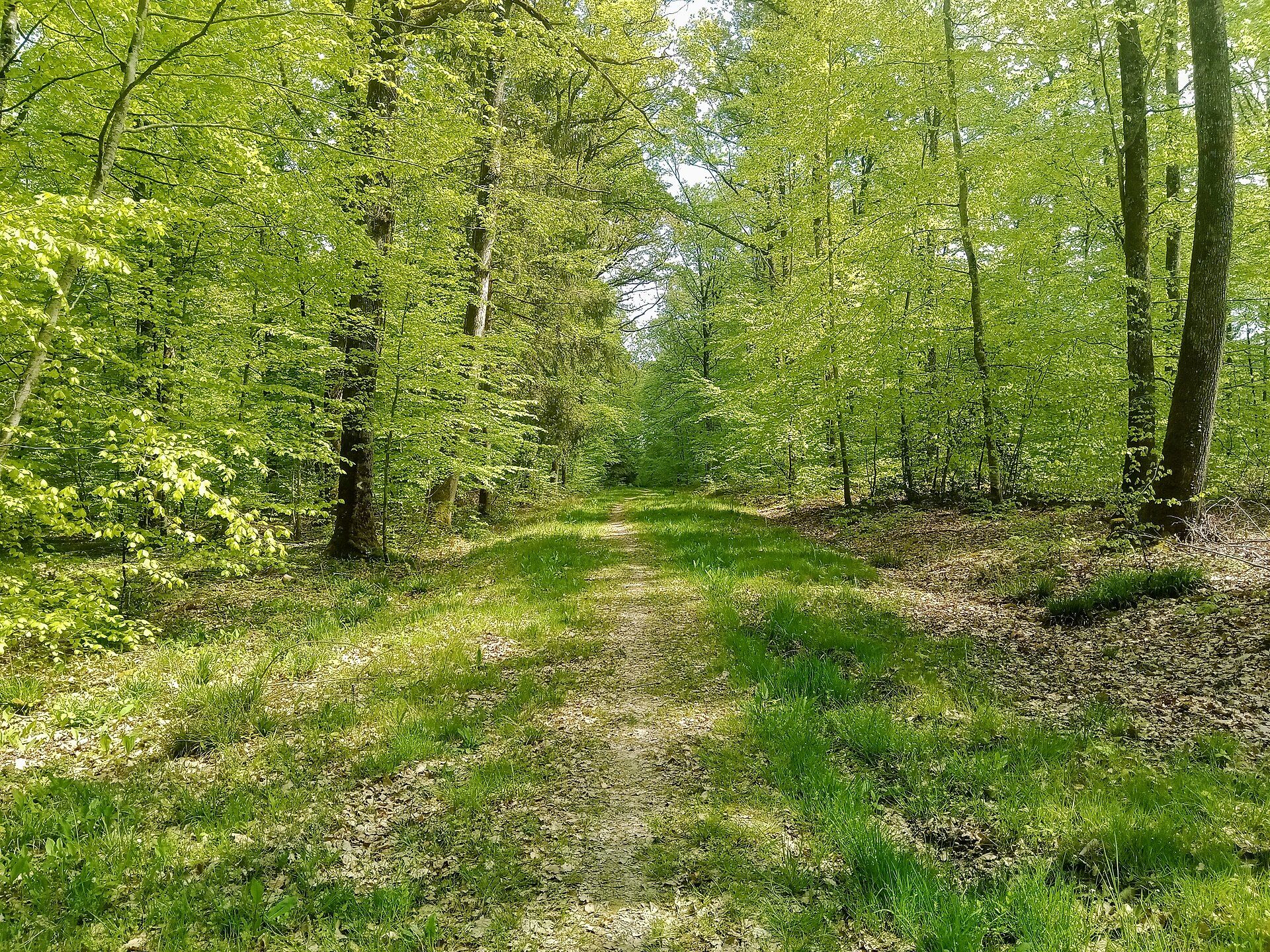 La vélovoie des lacs