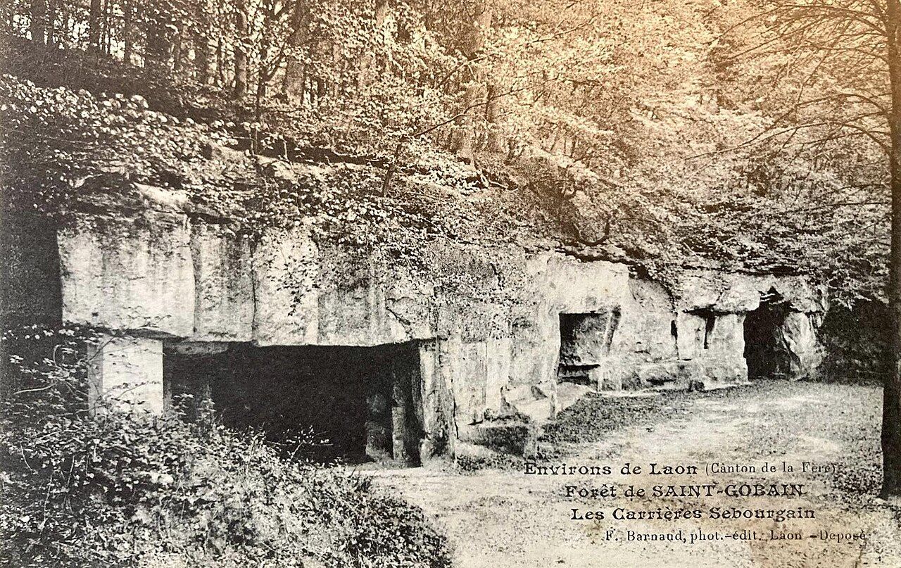 Forêt de Saint-Gobain