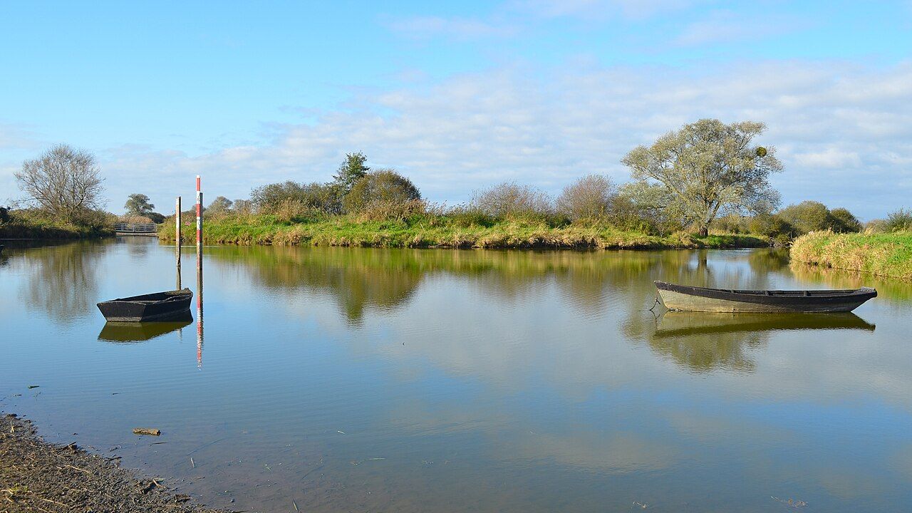 Lac de Grand-Lieu