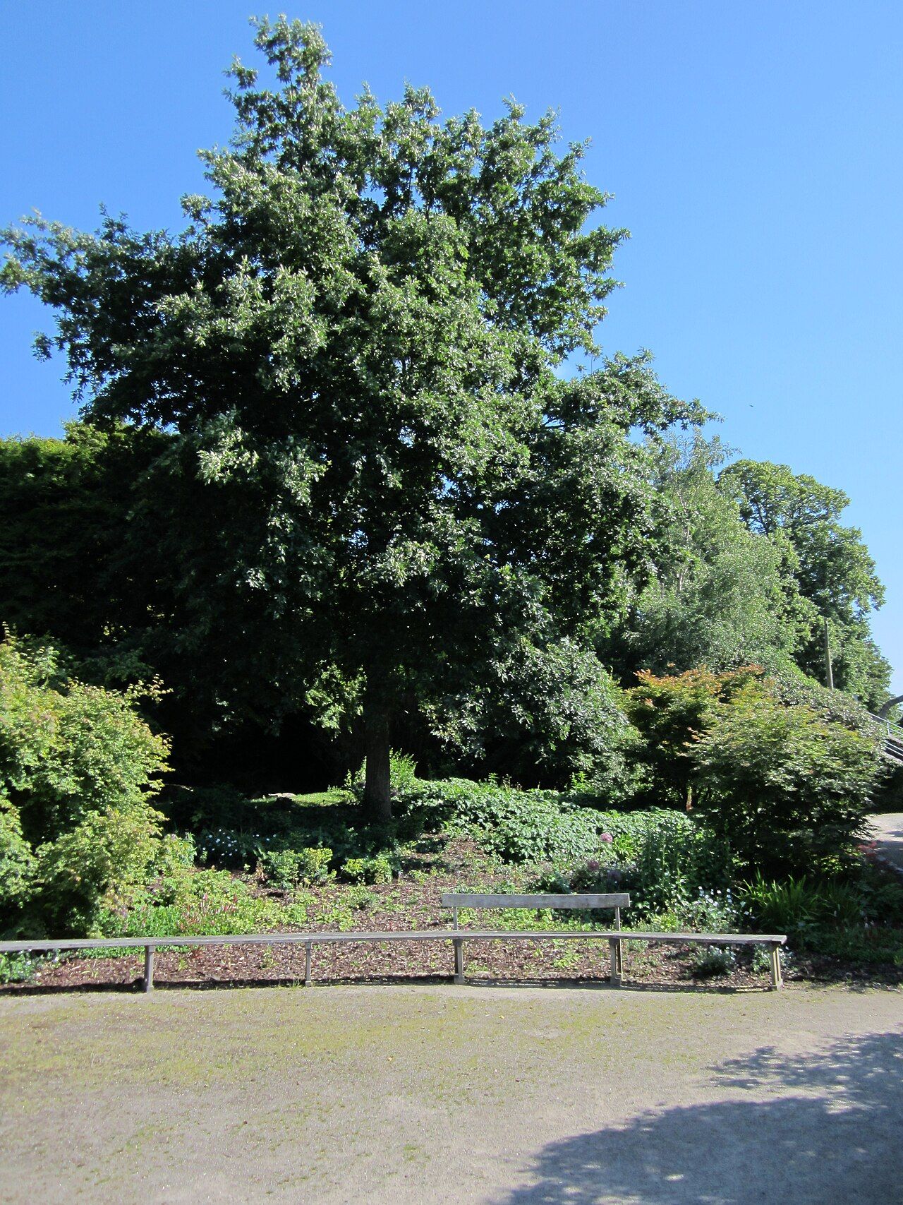 Jardin des plantes d'Avranches