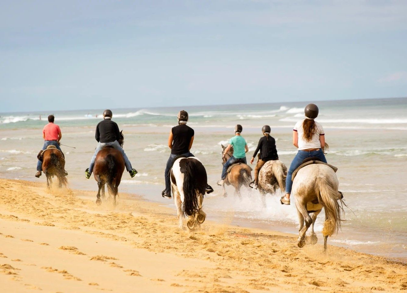 Equestrianism