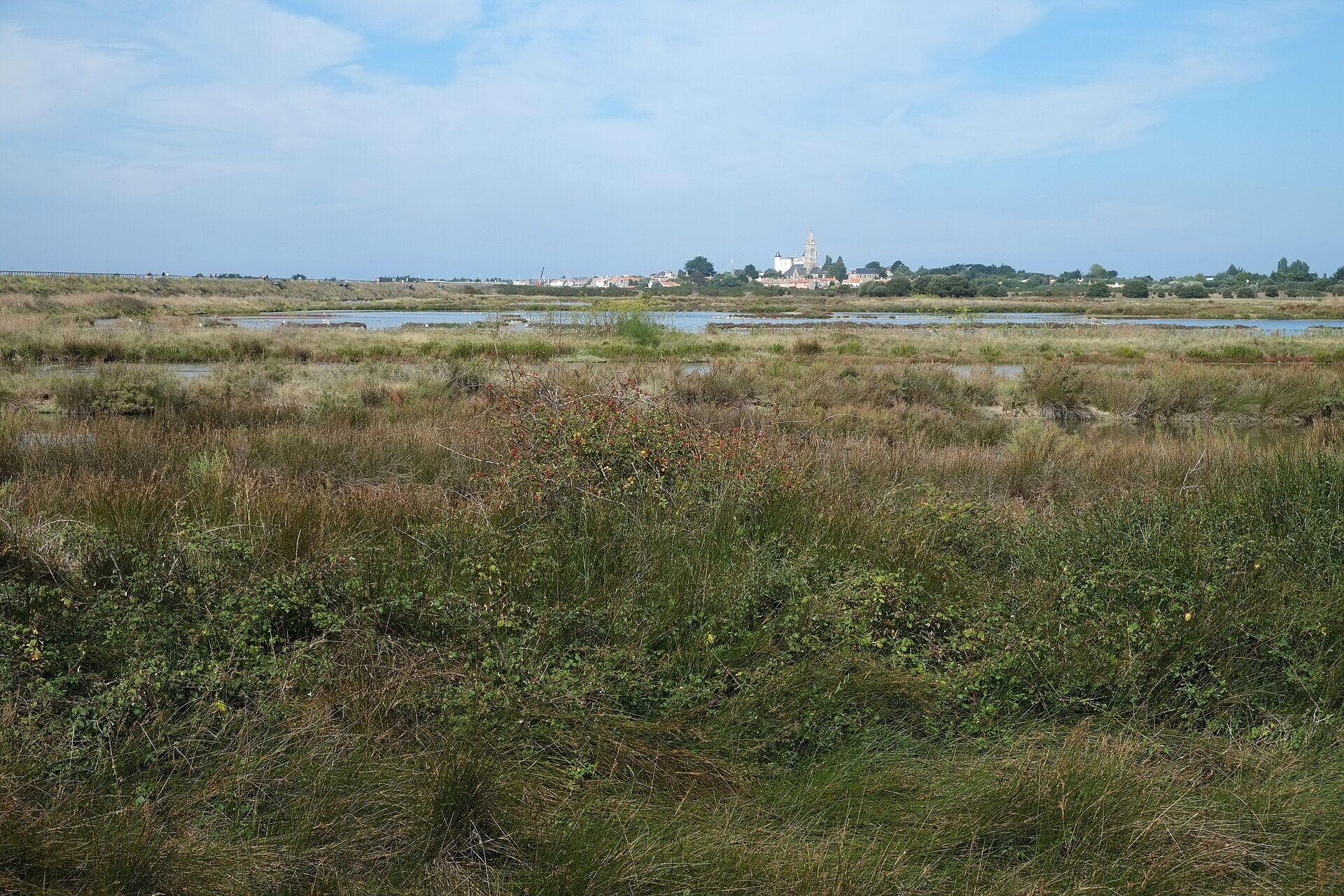 Réserve naturelle de Müllembourg