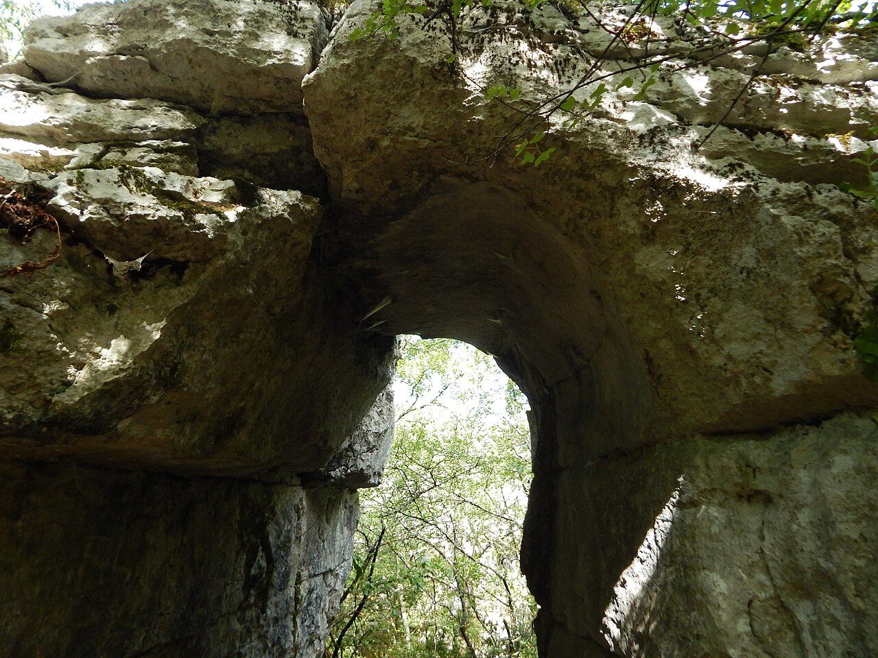 Bois de Païolive