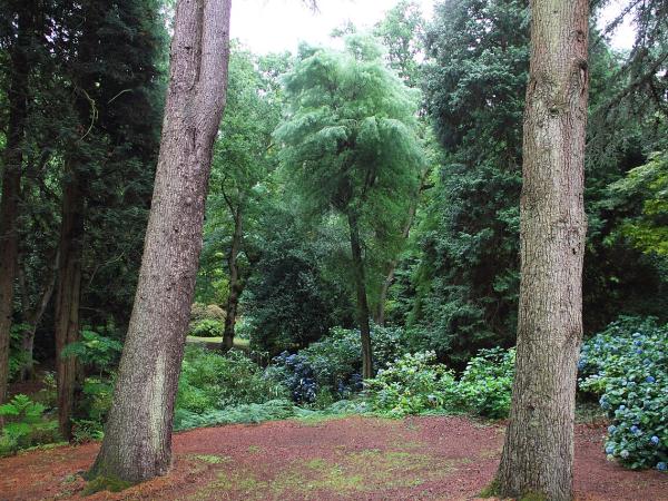 Parc du Bois des Moutiers