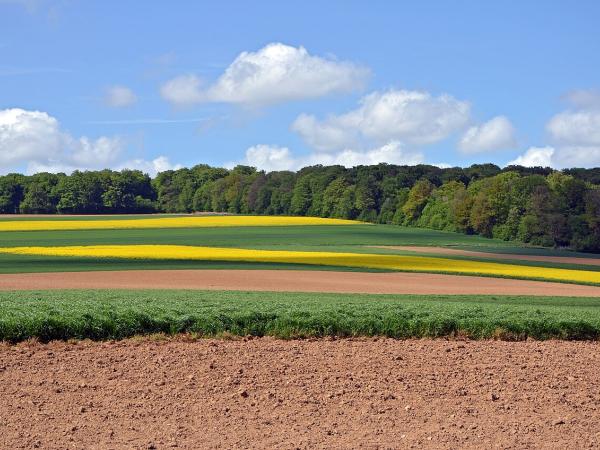 La vallée de l'Authie