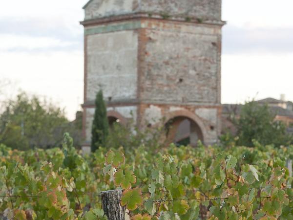 Vignoble de Fronton