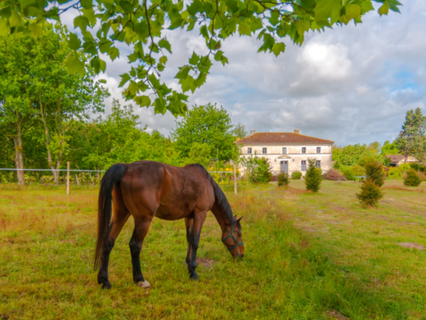 Domaine TerrOcéane