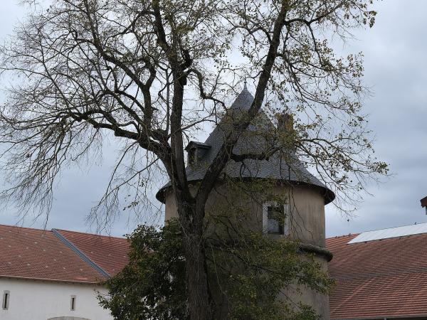 Parc du Château de Brabois