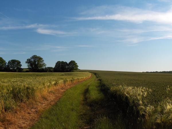 Parc naturel régional du Vexin français