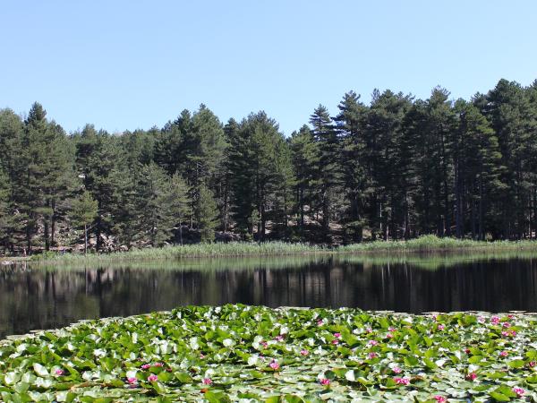 Lac de Creno