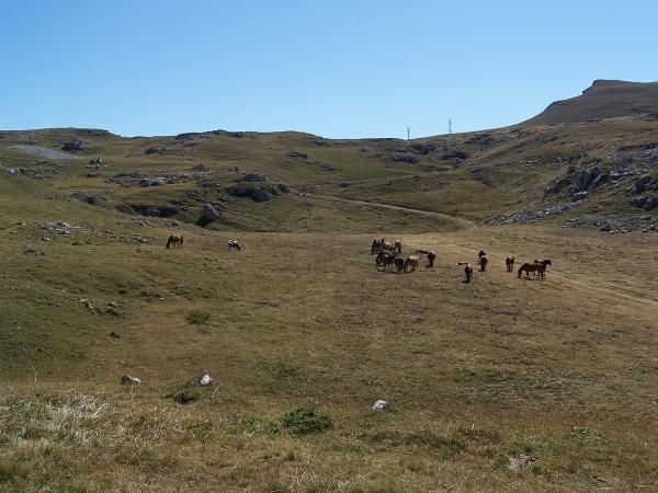 Font d'Urle et les hauts plateaux