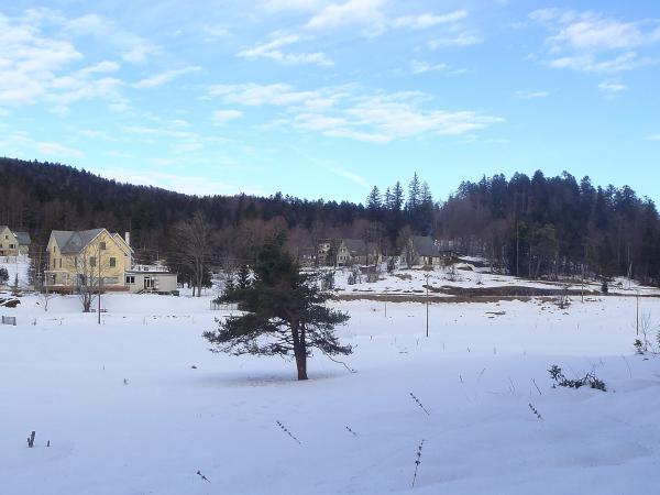 Forêt de Lente
