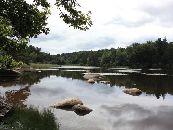 Lac du Merle