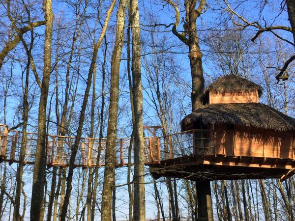 Cabane Tribu