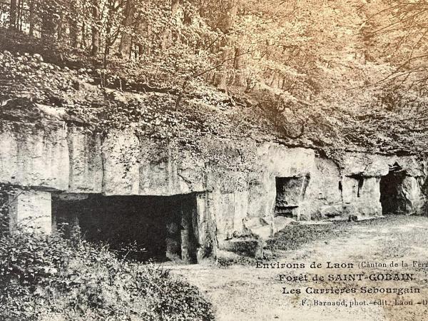 Forêt de Saint-Gobain