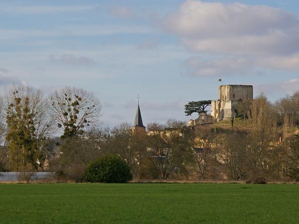 Donjon de Montrichard