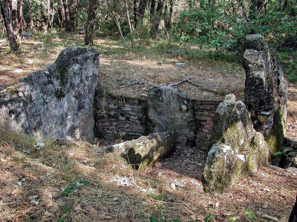 Accrobranche au pays de Fayence