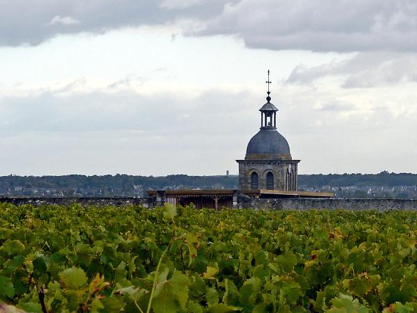 Vignobles de Vouvray