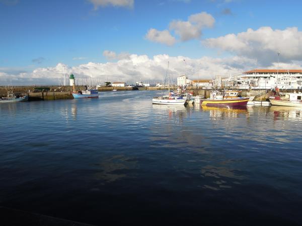Île d'Yeu en bateau