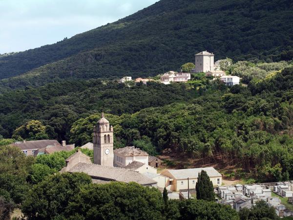 Vignoble du Cap Corse à Luri