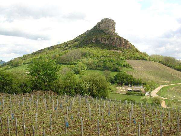Vignoble de Pouilly-Fuissé
