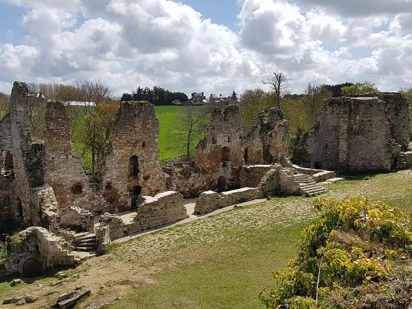 Château du Guildo et estuaire de l'Arguenon