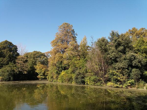 Parc Borély