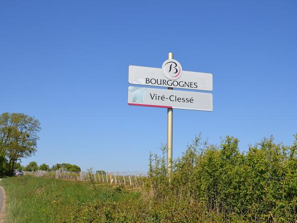 Vignoble de Viré-Clessé
