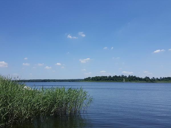 Étang du Stock
