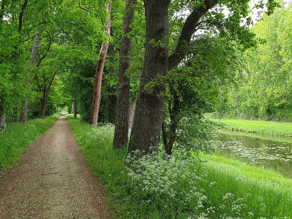 La Loire à Vélo depuis Villandry