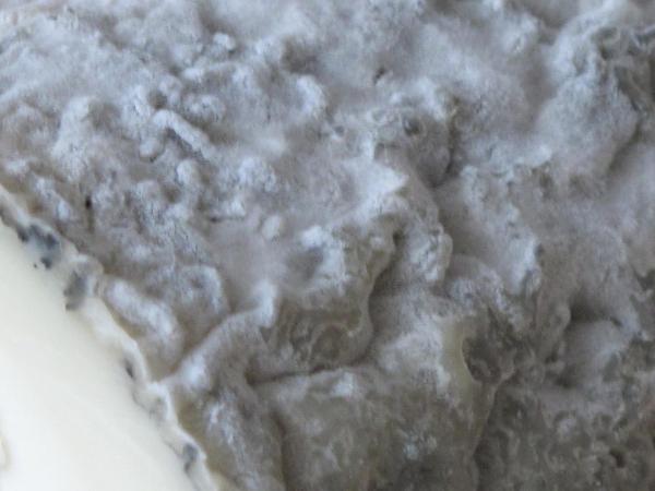 Fromageries de chèvre AOP