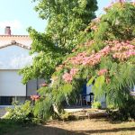 Dinedort : chambres et table d'hôtes (85 Vendée)
