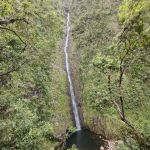 Cascade Biberon