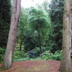 Parc du Bois des Moutiers