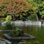 Jardin des Plantes d'Avranches