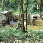 Montagne des Singes, Kintzheim