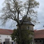 Parc du Château de Brabois