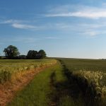 Parc naturel régional du Vexin français
