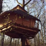 Cabane Tribu