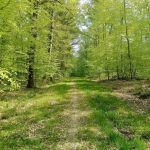 La vélovoie des lacs