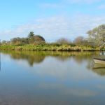 Lac de Grand-Lieu