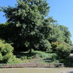 Jardin des plantes d'Avranches