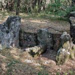 Accrobranche au pays de Fayence