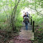 Forêt de Châtillon (Parc national de forêts)