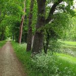 La Loire à Vélo