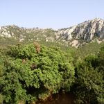 Mont Faron et son téléphérique